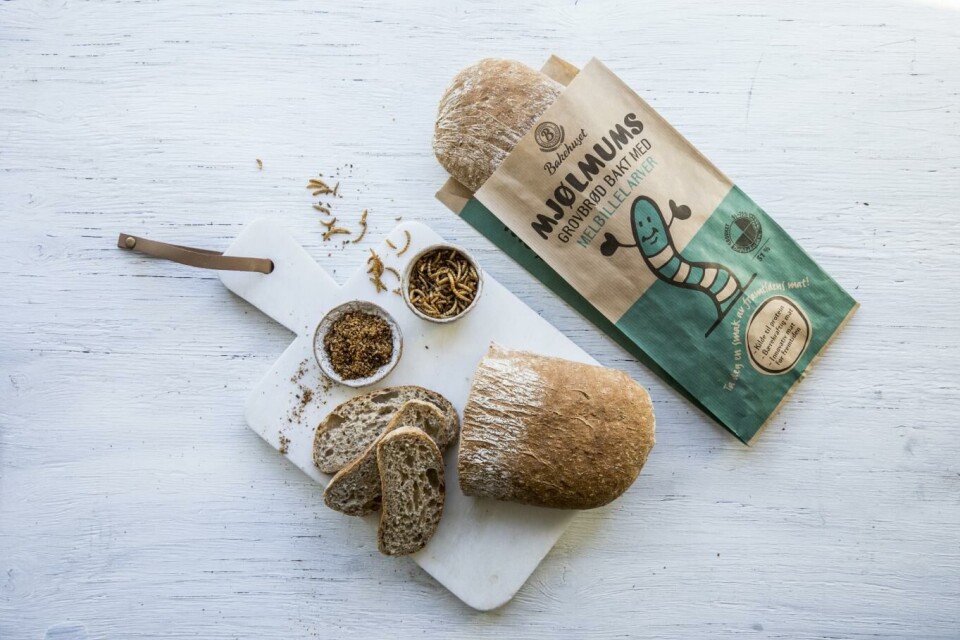 Meny frister med larvebrød