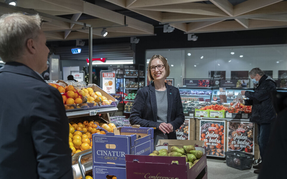 Dagligvaretilsynet er underlagt Nærings- og fiskeridepartementet og næringsminister Iselin Nybø (V).