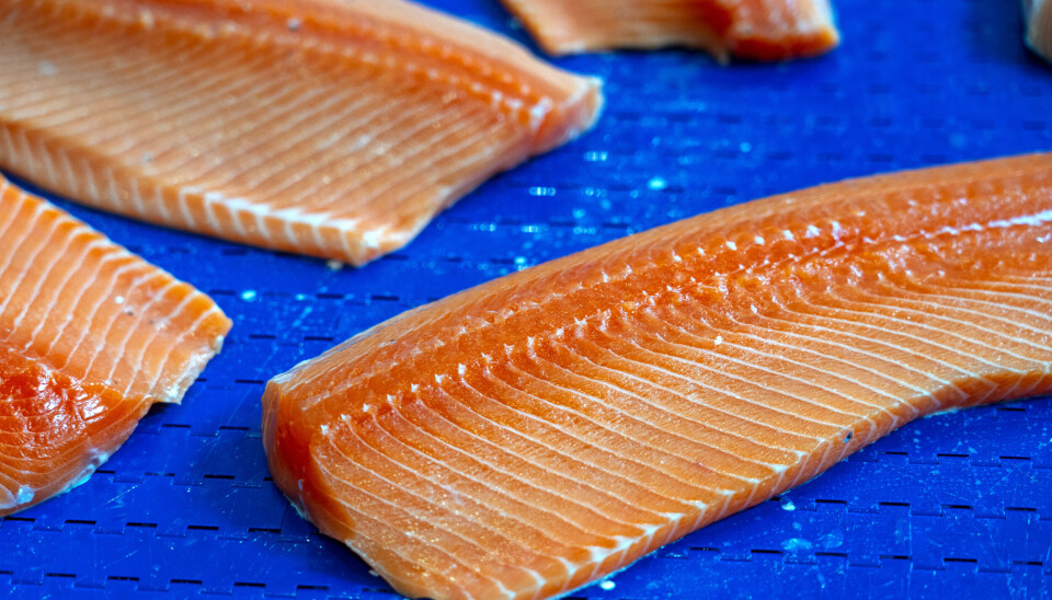 Norsk laks er populært i USA.