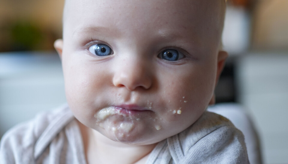 Retningslinjer for spedbarnsernæring omfatter amming, morsmelkerstatning/flaskemating, fast føde og vitamintilskudd for de aller minste, fram til ett års alder. Nå skal de revideres.
