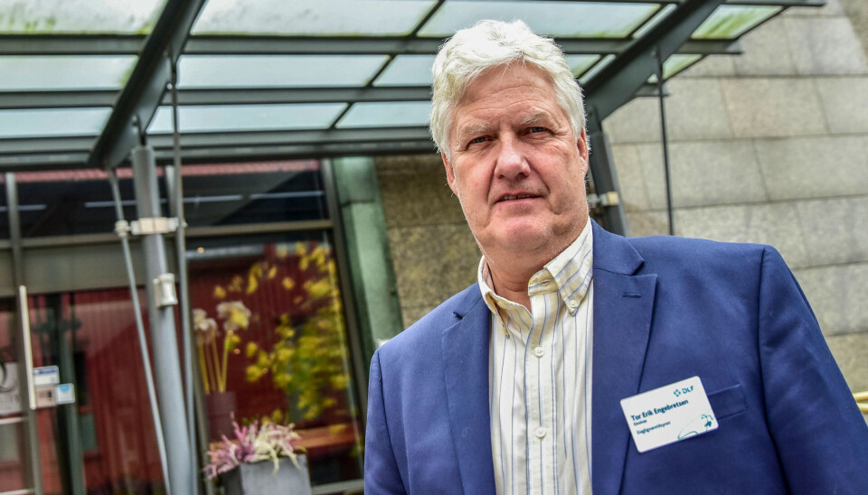 Adm. direktør Tor Erik Engebretsen i Dagligvaretilsynet varsler at tilsynet vil sende et eget høringssvar. Arkivfoto: Are Knudsen