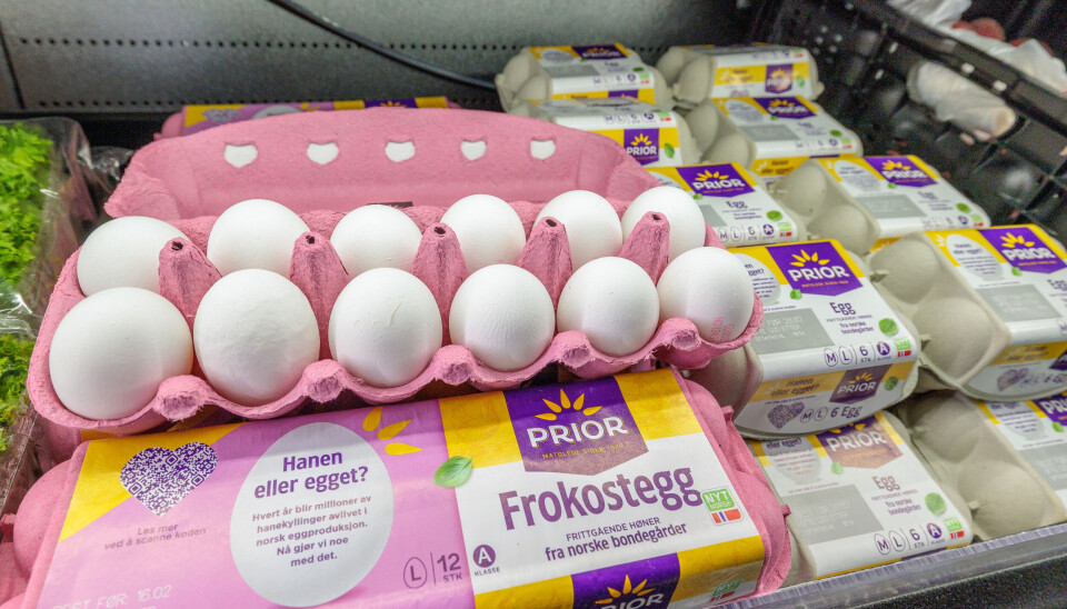 Det blir trolig økt importbehov av egg, viser en ny prognose fra Nortura. Illustrasjonsfoto: Gorm Kallestad / NTB