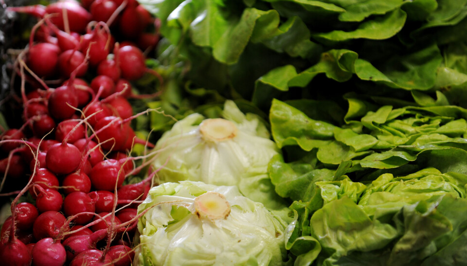 I Norge er omtrent 4 prosent av jordbruksarealet økologisk, mens EUs andel er 11 prosent.