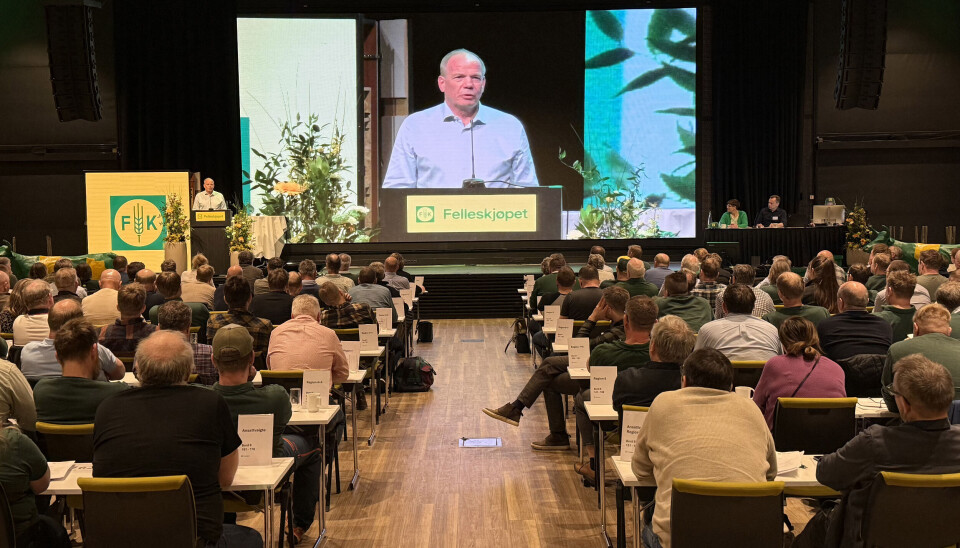 Den nye styrelederen taler til årsmøtet i Felleskjøpet Agri.