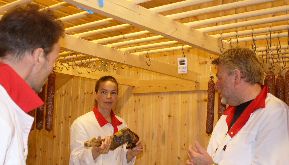 Nofima har smakstestet fenalår. Innsikten skal gi både produsenter og forbrukere verdifull kunnskap om hvordan fenalår kan brukes og nytes.