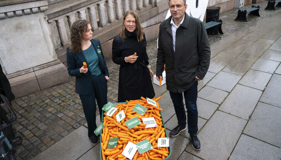 Leder i Miljøpartiet De Grønne, Arild Hermstad, nestleder Ingrid Liland og partiets stortingsrepresentant fra Akershus, Une Bastholm, deler ut gulrøtter foran Stortinget i anledning stortingsvalget.