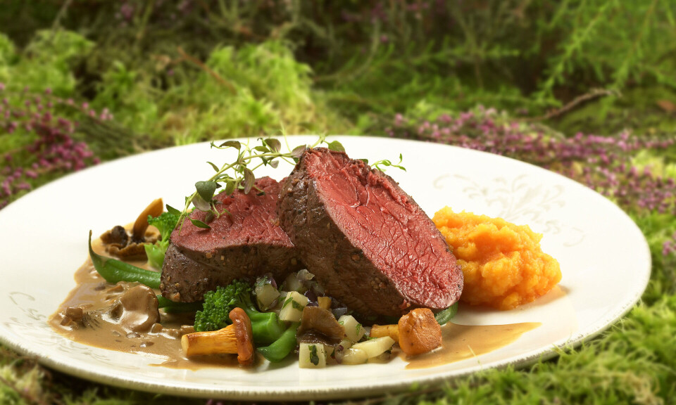 Normal sesong for slakt av reinsdyr