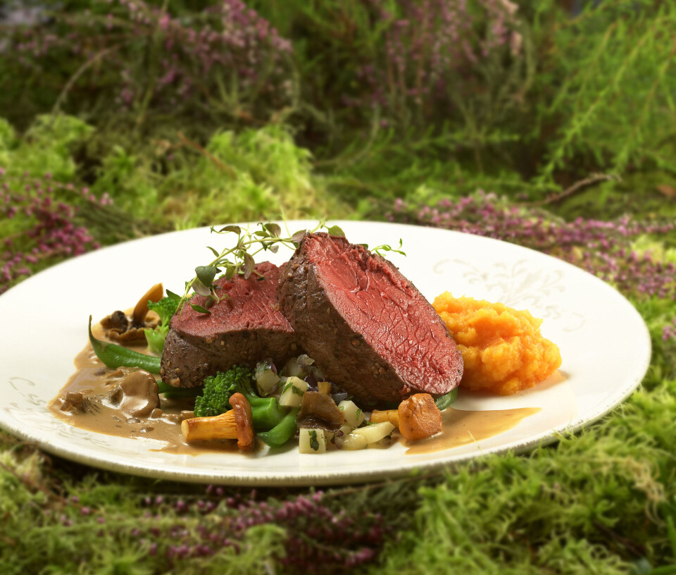 Normal sesong for slakt av reinsdyr