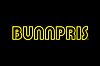 bunnpris logo