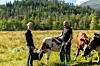 Elin Karin og Geir Kjetil Aa Hope med kyr