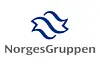 norgesgruppen logo